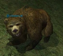 A briarpaw cub
