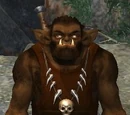 A Terrok warlord