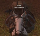 Summon Artisan's Pack Pony