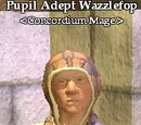 Pupil Adept Wazzlefop