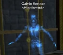 Gaivin Sostner