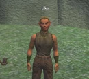 Uko