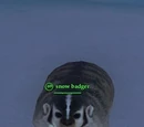 Snow badger