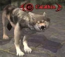 Calathin