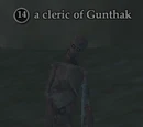 A cleric of Gunthak