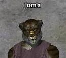 Juma