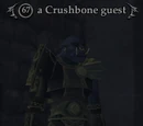 A Crushbone guest