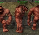 Clay Golem (Monk)