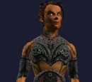 Quarrelsome Tunic