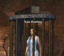 Nala Bunting