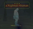 Nightfall Shaman