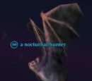 A nocturnal hunter