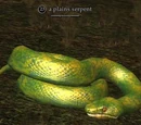 A plains serpent