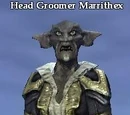 Head Groomer Marrithex