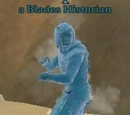 A Blades Historian