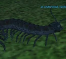 Underwood crawler