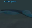 A shoal glider (Outpost of the Overlord)