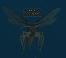 Burnspear