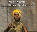 Macia Victus