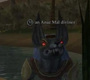 An Anaz Mal diviner
