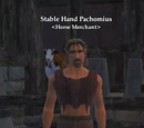 Stable Hand Pachomius