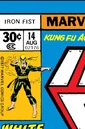 Iron Fist Vol 1 14.jpg