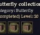 Butterfly collection.