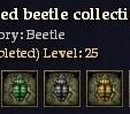 Striped beetle collection