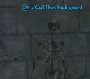 A Gul'Thex high guard