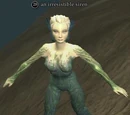 An irresistible siren