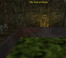 The Pool of Dread