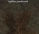 Epic Repercussions