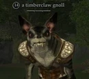 A timberclaw gnoll
