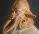 Tikkes