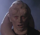 Bib Fortuna