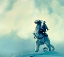 Tauntaun