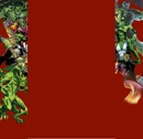 St Patties Background 0.jpg