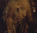 The Junk Lady