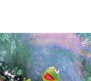 The Rainbow Connection