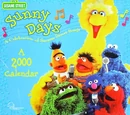 Sunny Days: A 2000 Calendar