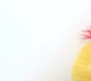 Scary Scary Monsters plush