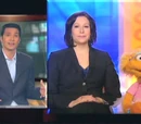 CNN
