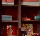 Hooper's Store