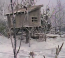 The Tree House