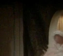 Bunny Go High and Go Low