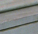 Yolanda Rat