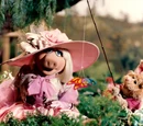 Dream a Little Dream of Me