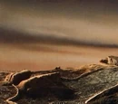 The Labyrinth