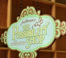 The Possibility Shop