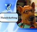 Hundekøbing